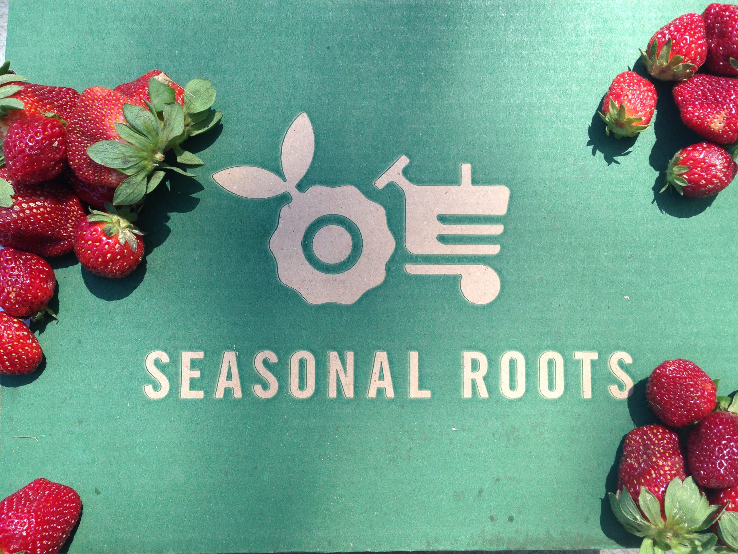 Who Doesn't Love Strawberry Season? Seasonal Roots