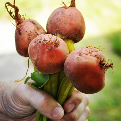 seasonal eating fall foods healthy eating