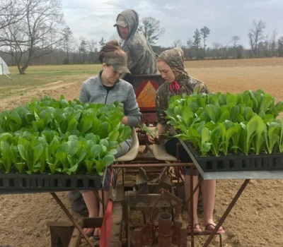 local family farms