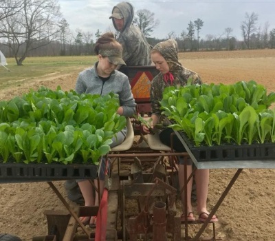 meet your local farmers - deer run farm