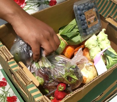 erica's box of farm-fresh produce