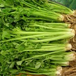 local celery