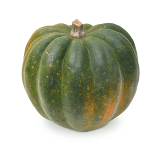 Squash