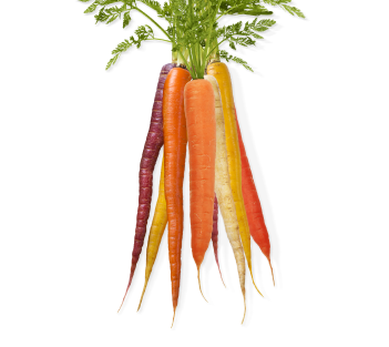 Carrots