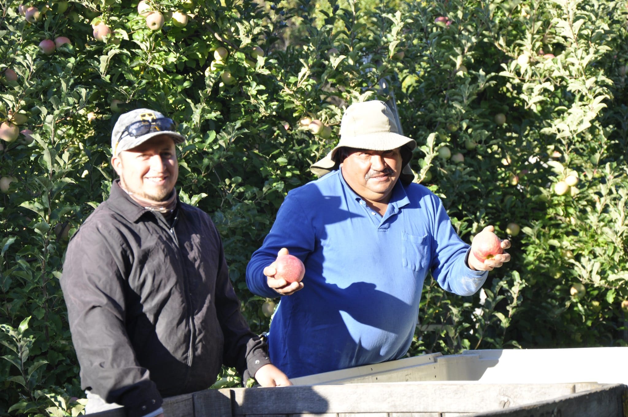 Saunders Brothers Orchard Seasonal Roots