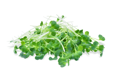 Micro-greens