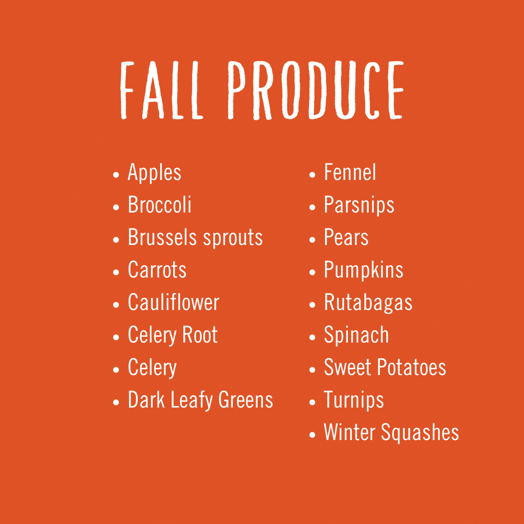 Seasonal Roots Offers Fresh, Local Produce YearRound Seasonal Roots