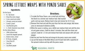 Spring Lettuce Wraps with Ponzu Sauce Recipe