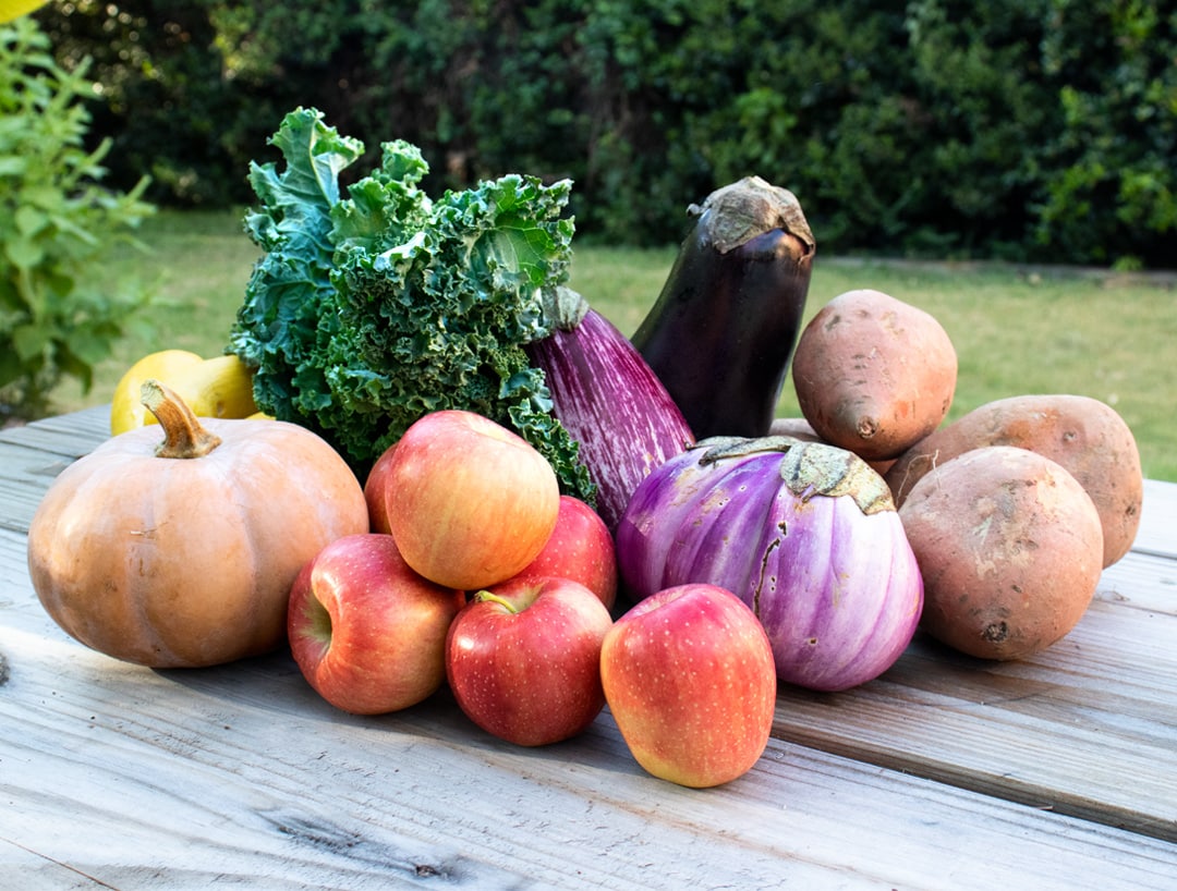 About Your Seasonal Roots Free Membership Seasonal Roots