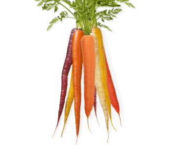 Carrots & Cucumbers 
