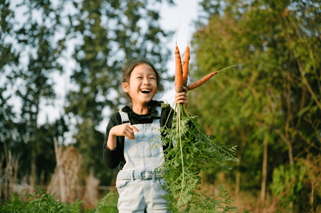 Seasonal Roots Online Farmers Market Fruit and Vegetable Delivery Organic Food Delivered
